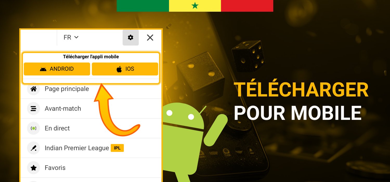 télécharger l'application mobile